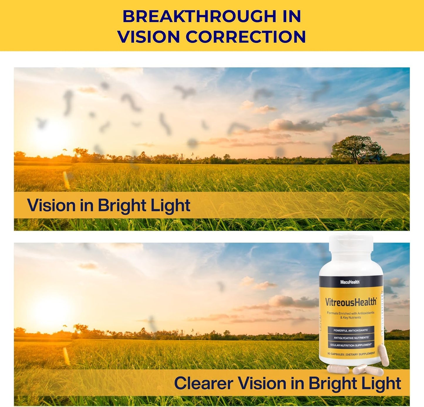 Macuhealth VitreousHealth Evidence-Based Eye Supplement - 90 Capsules